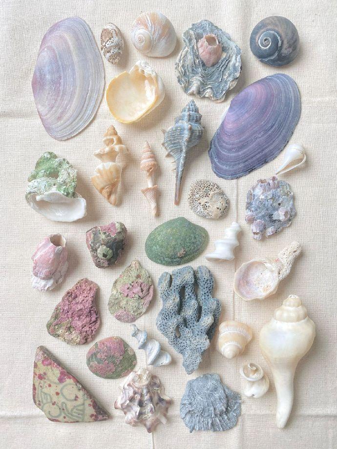 海边艺术家🐚 ​ ​​​麻辣王子如何一年生产100亿根辣条 ​​​