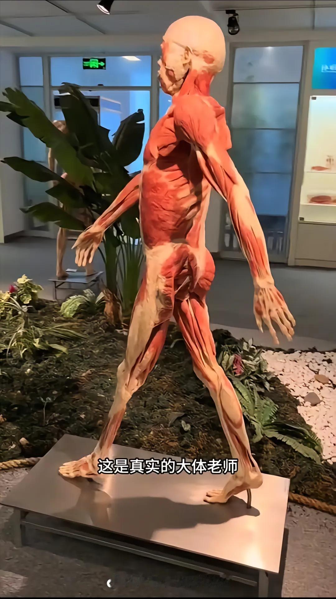 为啥有人愿意当“大体老师”？背后的理由，看完鼻子发酸。你知道吗？咱们现在看到的这