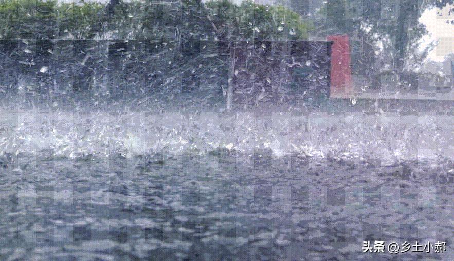 老人说最怕“五月十五下雨”，今日五月十五，下雨有啥预兆？
 
明月别枝惊鹊，清风