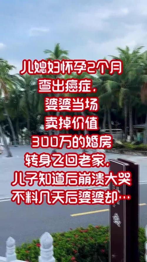 42岁婆婆刚把儿子婚事办完，竟意外查出怀孕，消息一出全家炸开锅。一边是刚进门的儿