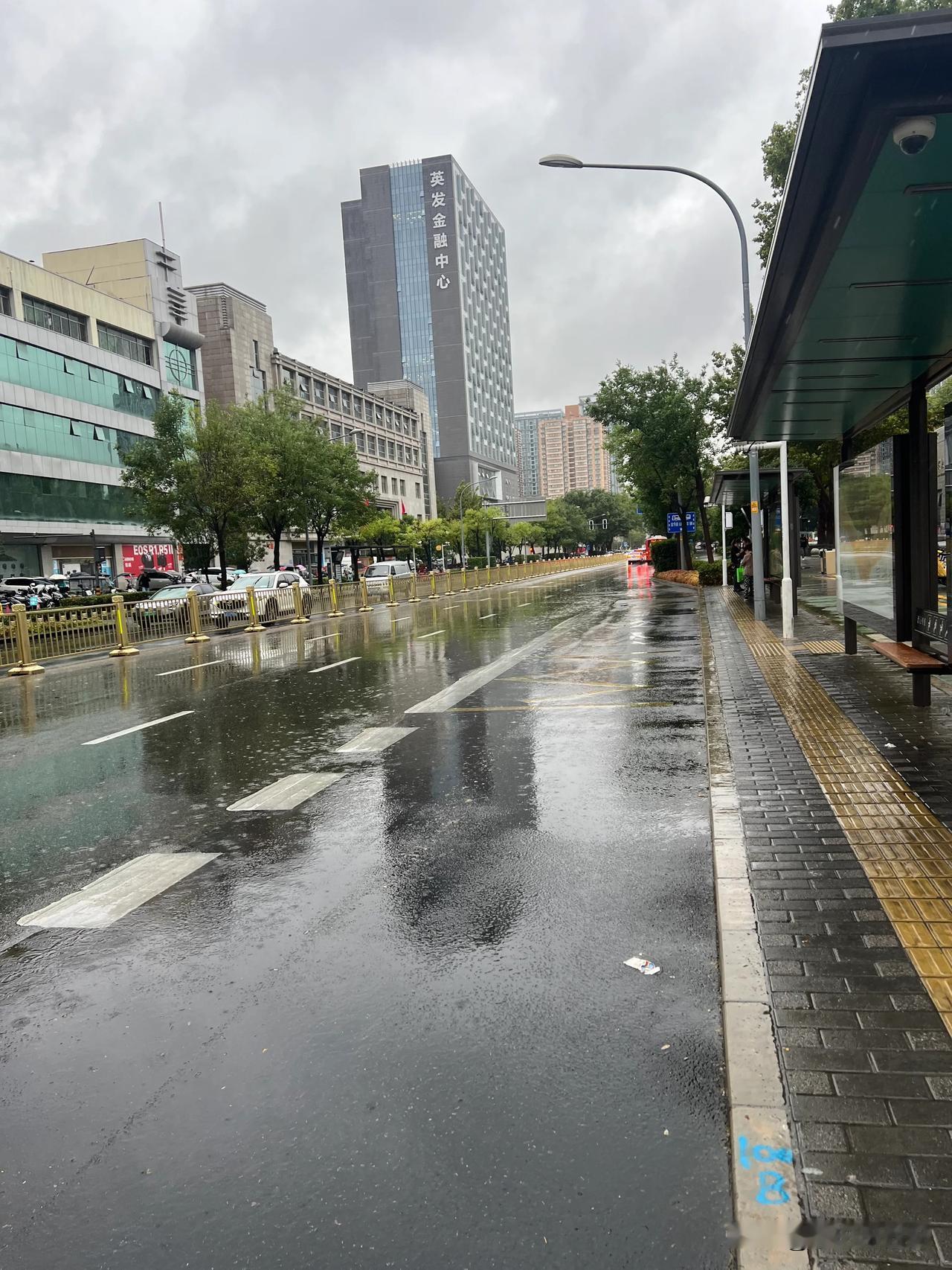 这是今天萧瑟秋雨中的西安城

雨水将整个城市冲刷的干净清爽，

道路两旁的树木草