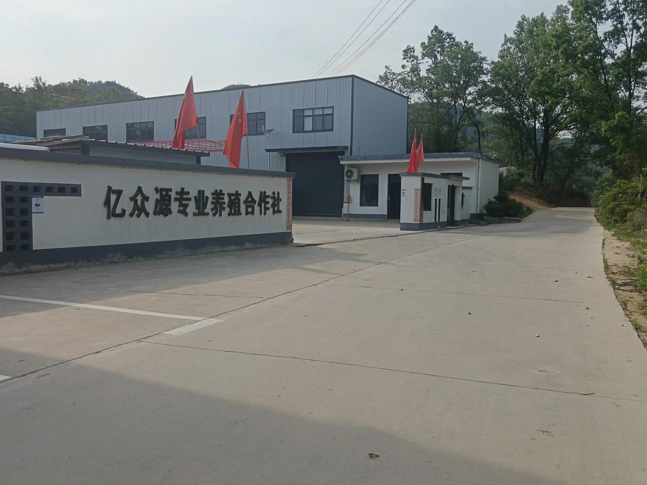 5月5日下午，受商城县鲇鱼山街道办事处平塘村"亿众源养殖合作社”负责人余维刚的盛