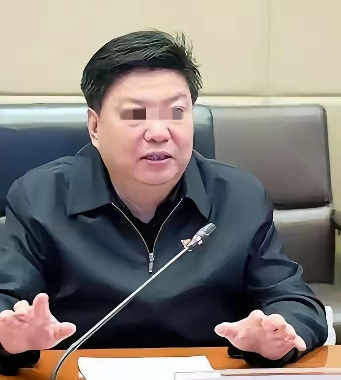国文清投案了，消息一出，不少人立马联想到那座矗立在印度的全球最大高炉。这联想不是