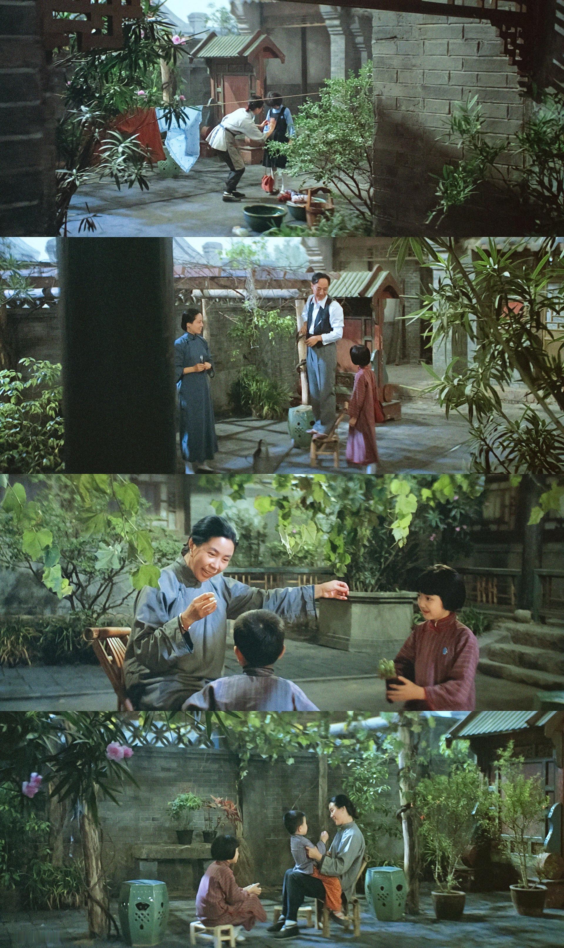 🎞️城南旧事（1983）爸爸的花儿落了，我已不再是小孩子。 