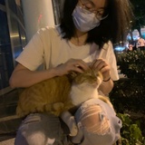 小绿豆爱看科技