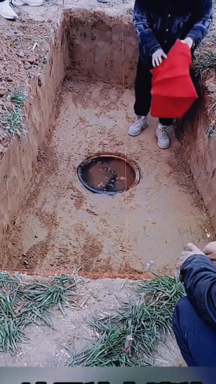 土坑下养鱼这是什么迷信？
看到这一幕咱也不敢问，咱也不敢说。你说下面这个土坑都已
