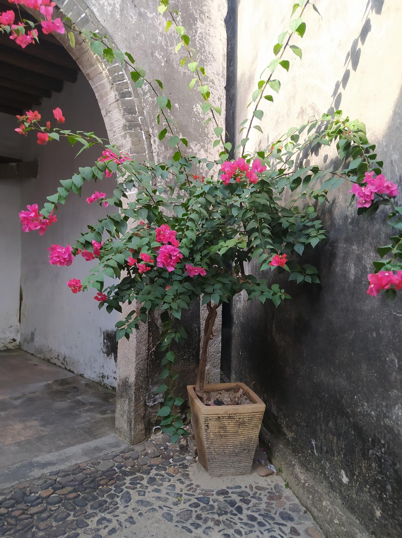 我近期创作的内容被官方加热啦！👍你也快来发布一条吧！带记录真实生活话题，更容易