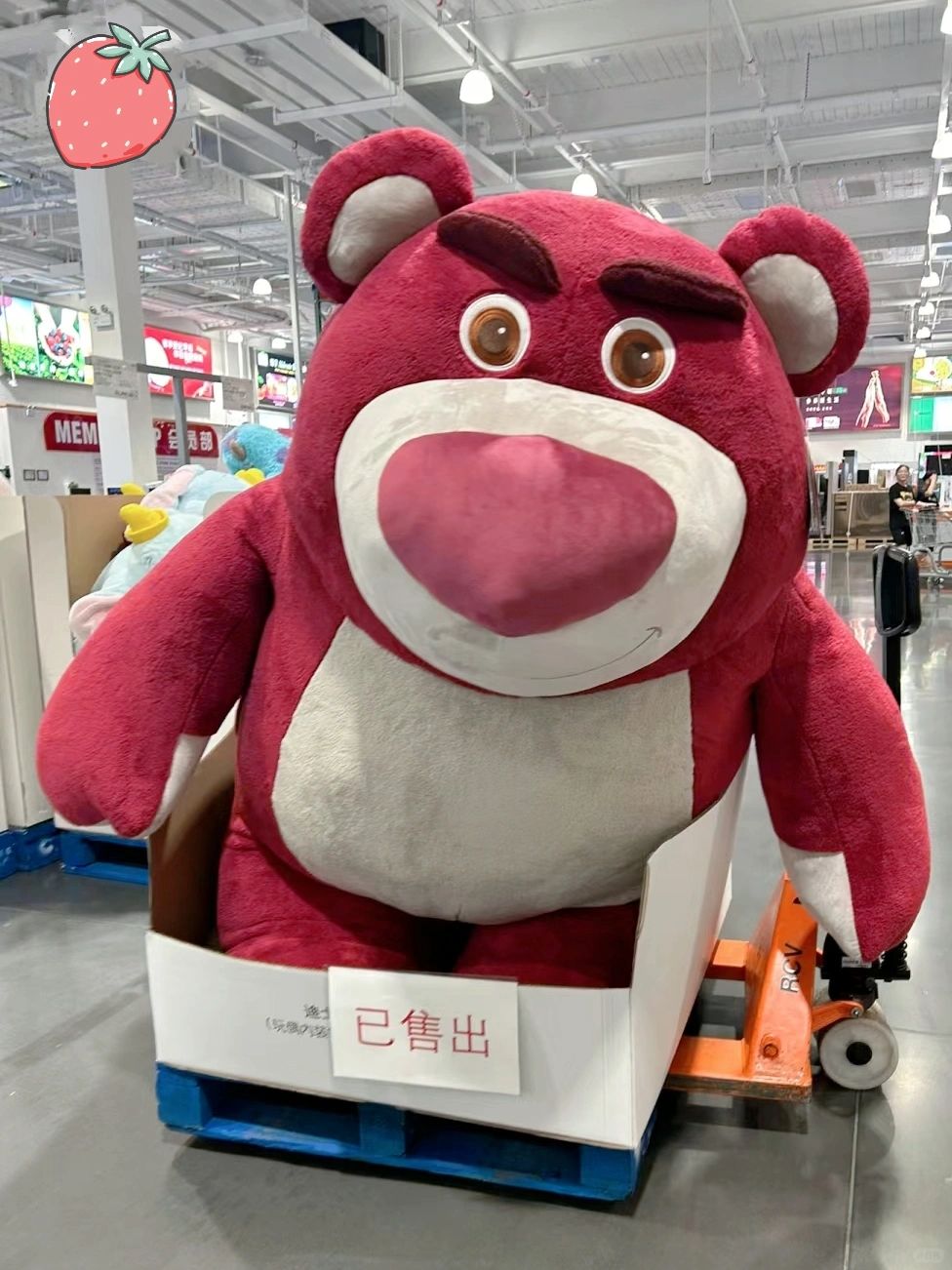 深圳中产，一举挤爆Costco