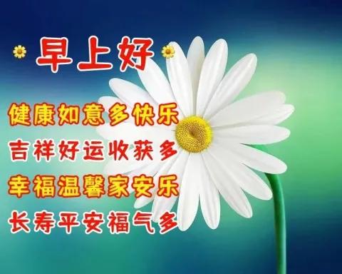 一个祝福：我们都平平安安、
一个问候：我们都快快乐乐、
一个心愿：我们都健健康康