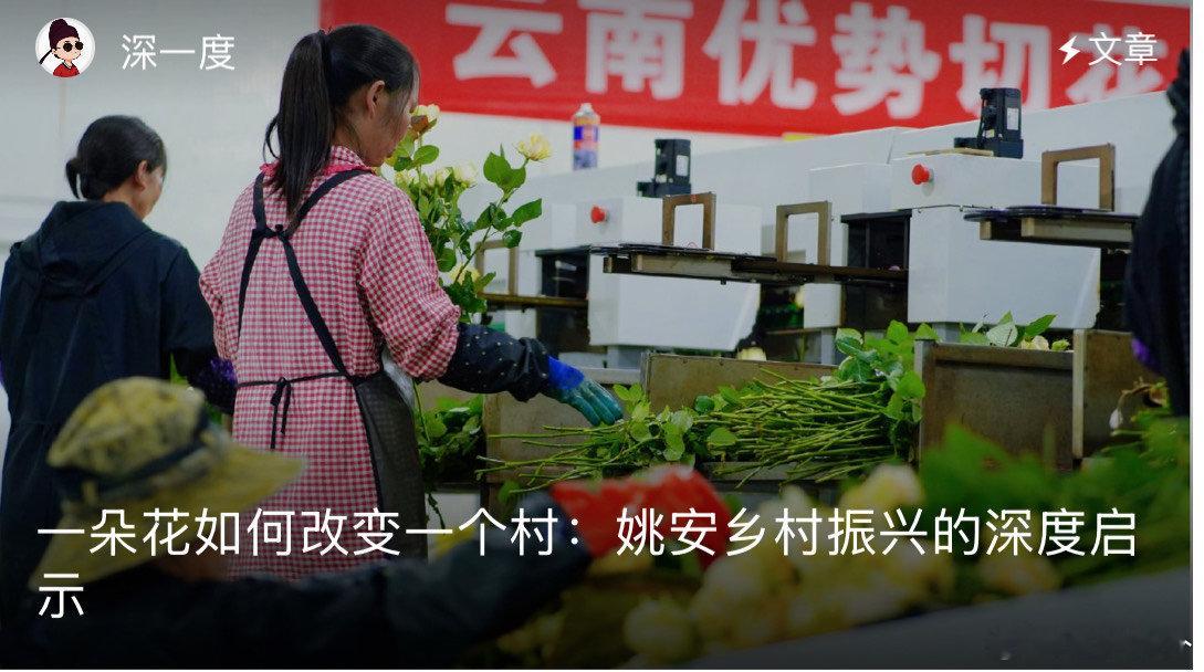 姚安乡村振兴深度启示 云南楚雄姚安县我们看到了乡村振兴所带来了更多深度的意义了呀