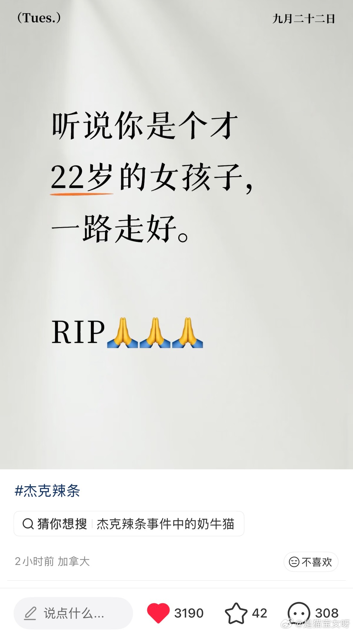 不敢相信这个世界真有如电影里的救世主出现，她做了千万个我们都想做而不敢做的事，我