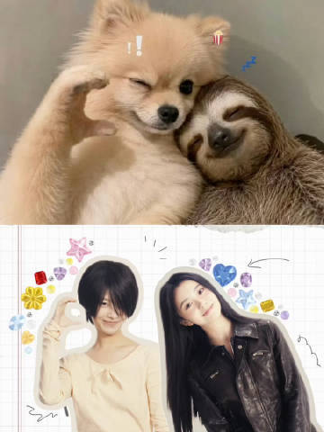 文淇宁艺卓刘浩存李庚希表情包cos文淇宁艺卓刘浩存李庚希cos表情包文淇宁艺卓刘