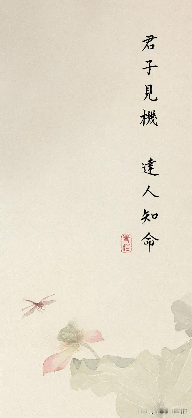 花开如梦，墨香入画。