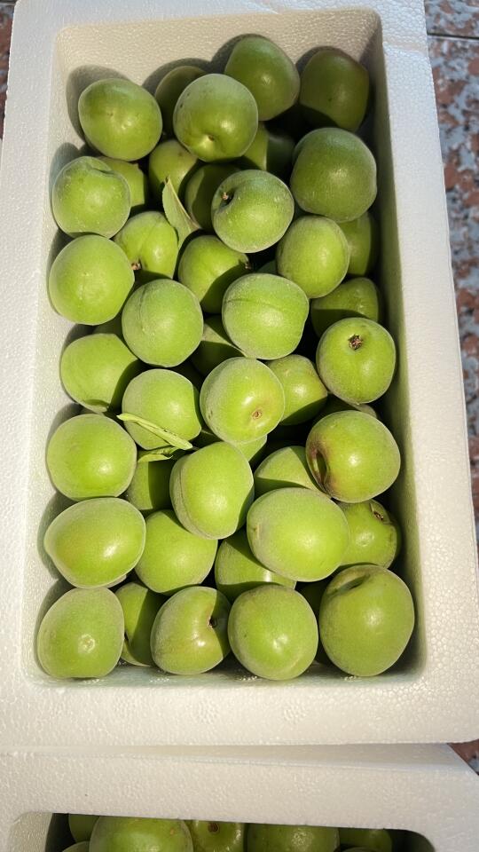 咱家好大梅玩的是精品，卖的是实惠，实图如上