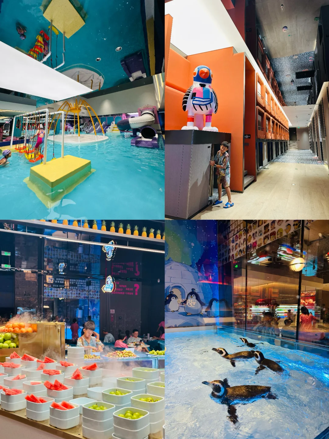 沈阳洗浴能边泡汤边撸企鹅🐧娃玩到不想走