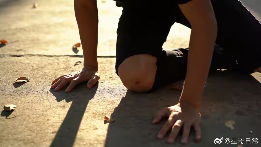 每一次跌倒，都是为了更有力地站起。情感语录