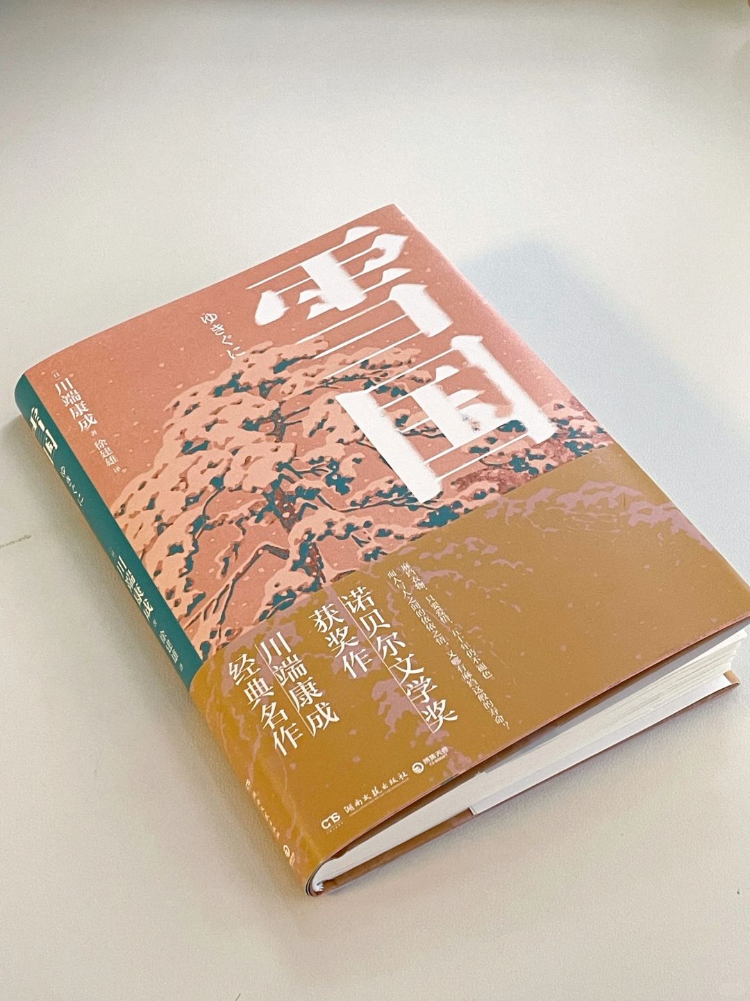 📖一本书，常读常新