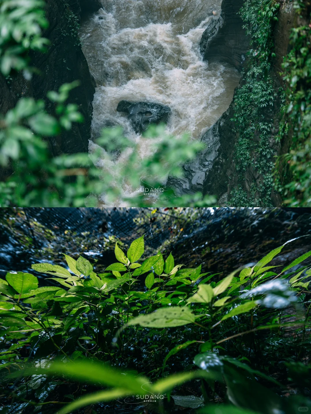 湖北你真糊涂‼️夏天那么热，怎么不宣传这里