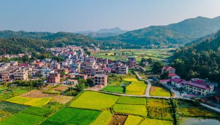 一、先说最关键的：2026年到底多少分能上？
咱们开门见山。2026年的录取分数