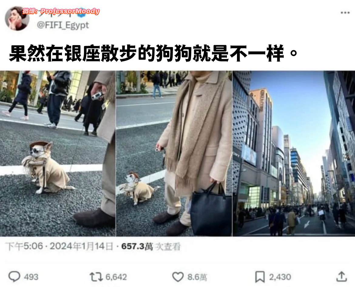 比我会穿👍 