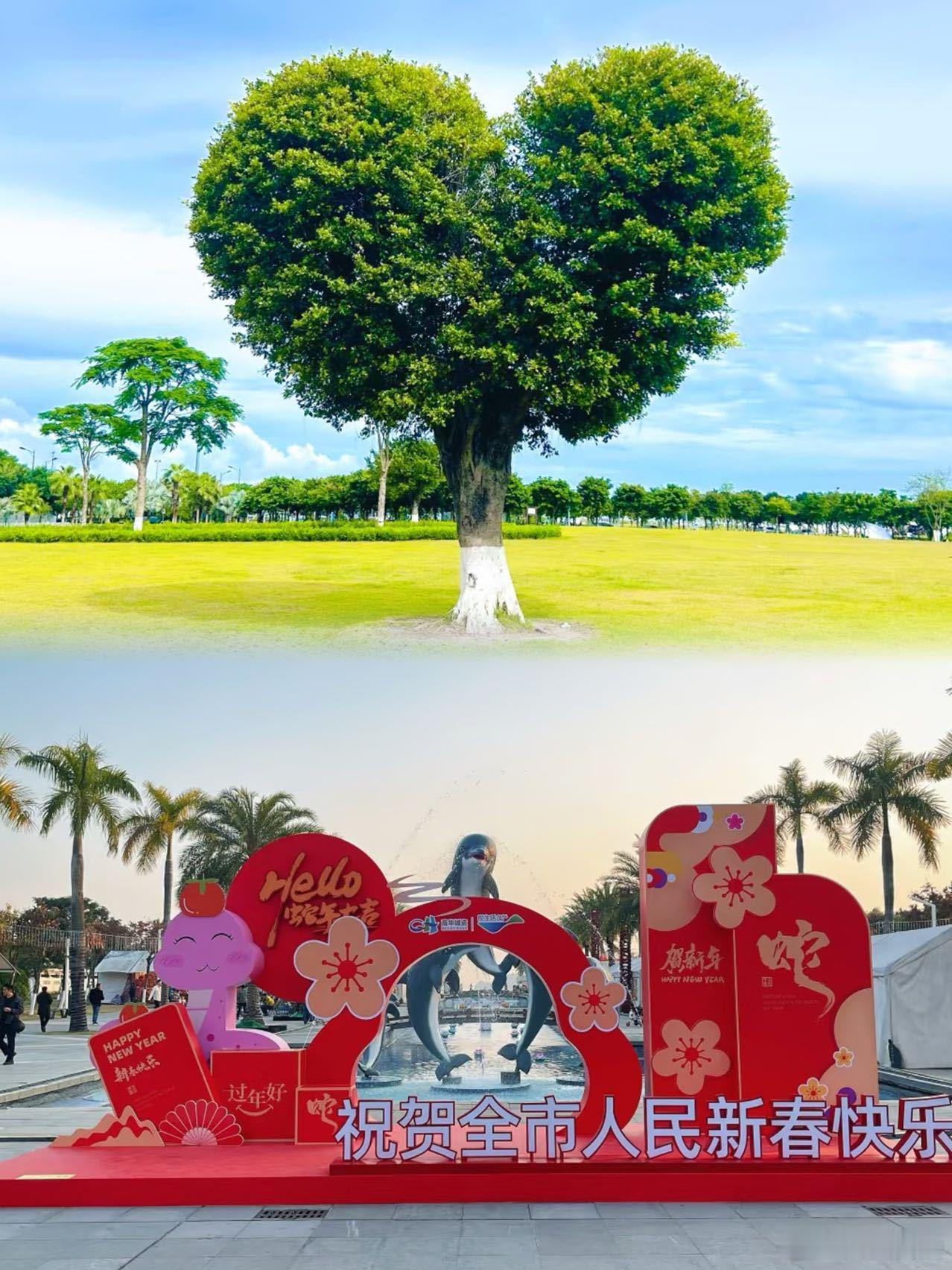 大湾区超有年味的城市出现了👇🏻这份春节攻略请收好在广州春节出门游玩，选择合适