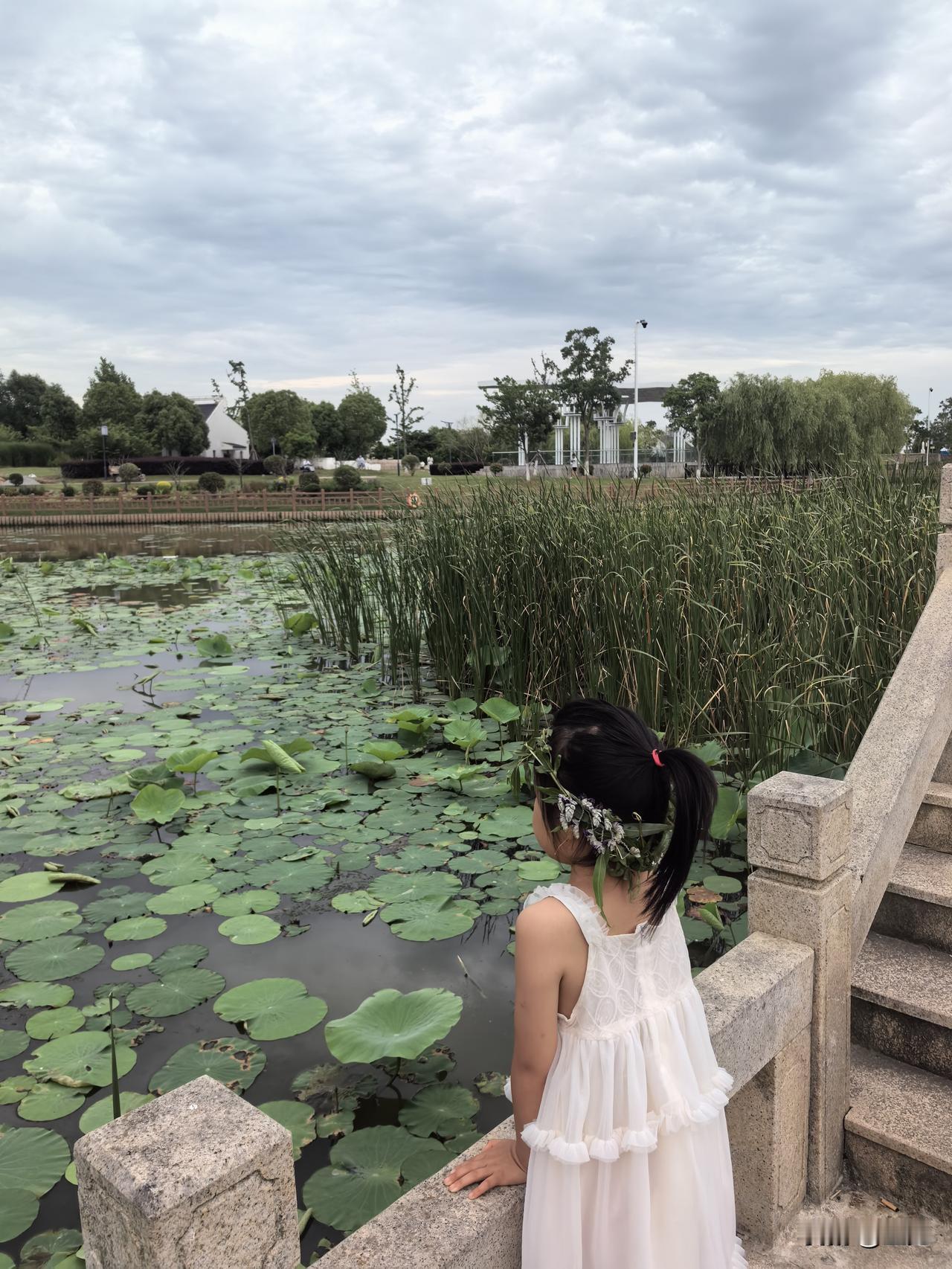 我看着孩子童年的背影，‌终于理解了辛弃疾“老夫静处闲看‌”的心境。

就在旁边静