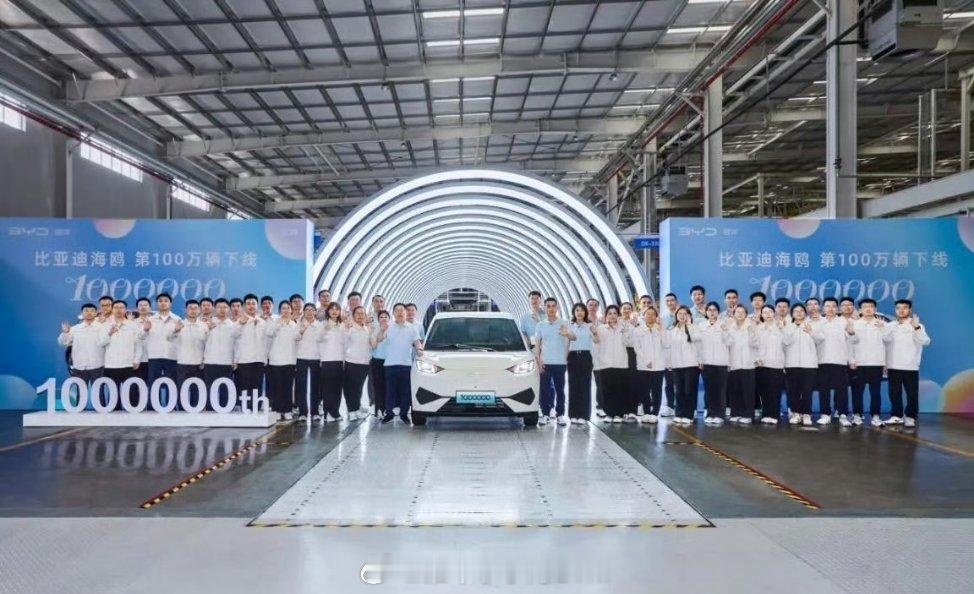 比亚迪海鸥：小车界的"销量王"。上市27个月就卖出100万辆，成为全球最快破百万