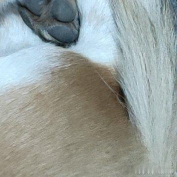 日行一善，心向暖阳，点滴善意皆有力量。以温柔待世界，以善意迎生活，把美好藏在日常