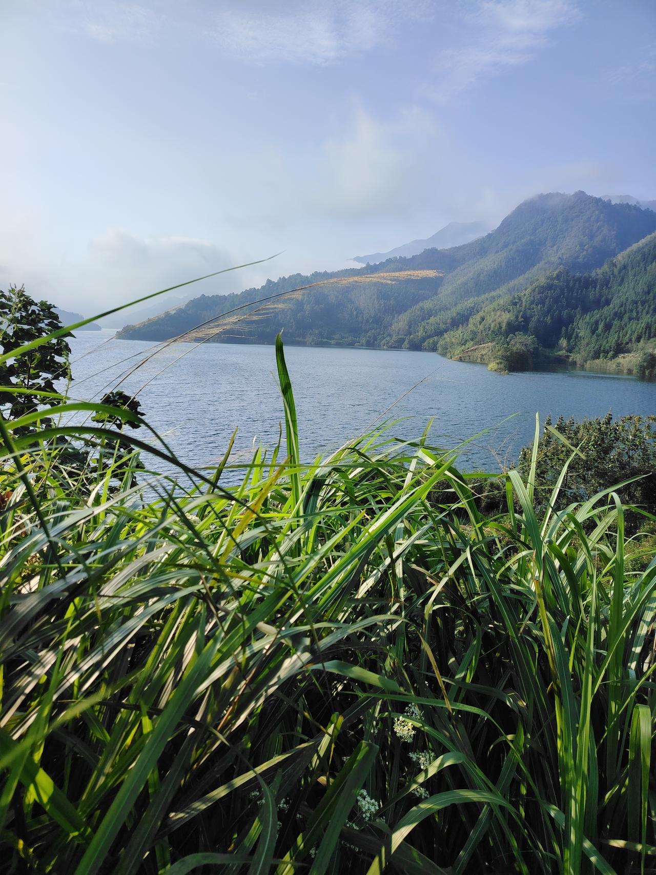“这是几世修来的福气！”河南邓州icon，5岁女童坠河，漂流3里多地，被两钓友用
