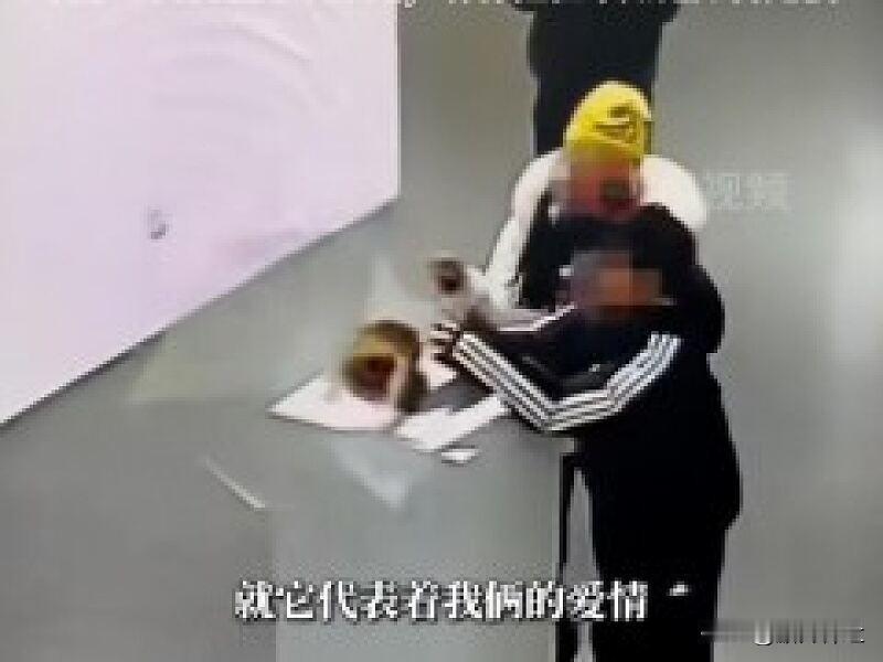 4斤黄金凤冠在免费展上被毁

近日，千万粉丝博主张凯毅称，4斤黄金凤冠在免费展览