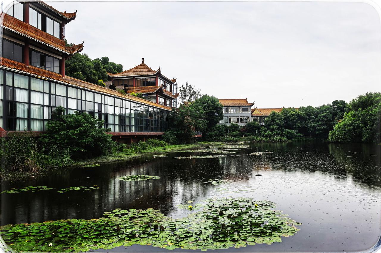 金银湖龙舟文化公园之约
在尘世喧嚣的边缘徘徊，有一方净土悄然铺开。绿色一片，似生