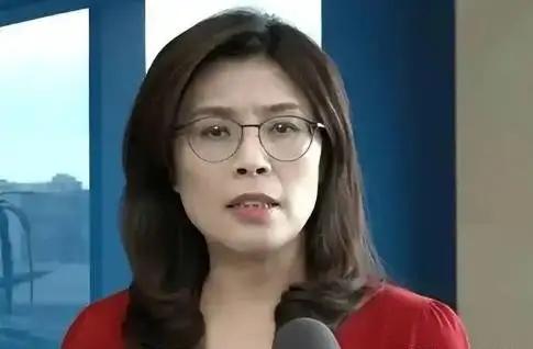 台湾国民党主席郑丽文聊统一问题，最近成了大家讨论的焦点。她明确提出两个核心前提：