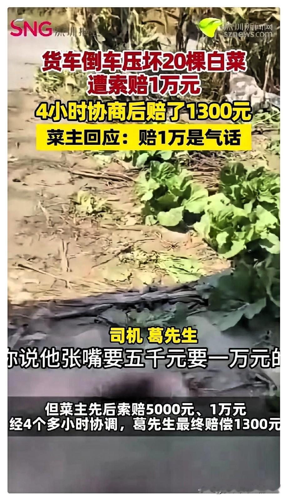 货车倒车压坏20棵白菜，菜主先要5000，再要1万，僵持4个多小时，最后司机赔了