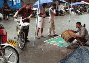 老鼠：也不要多少演技，至少有份工作了 ​​​