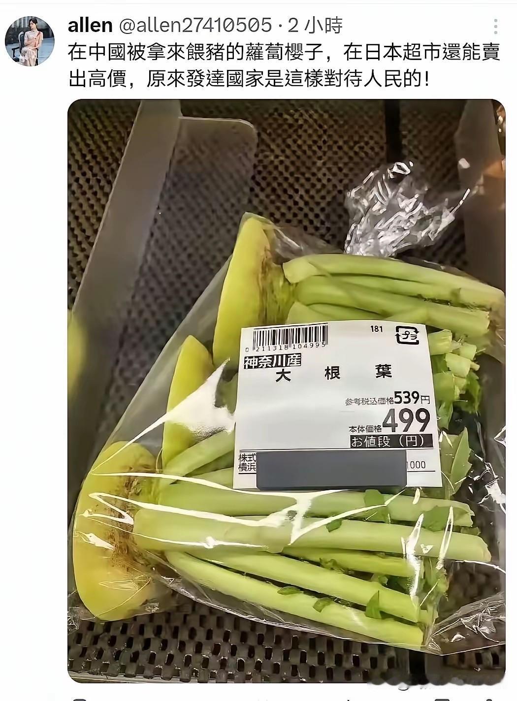 高市早苗闭着眼睛不看日本超市的物价，继续向各行各业强行征税，榨取的钱财基本都用来