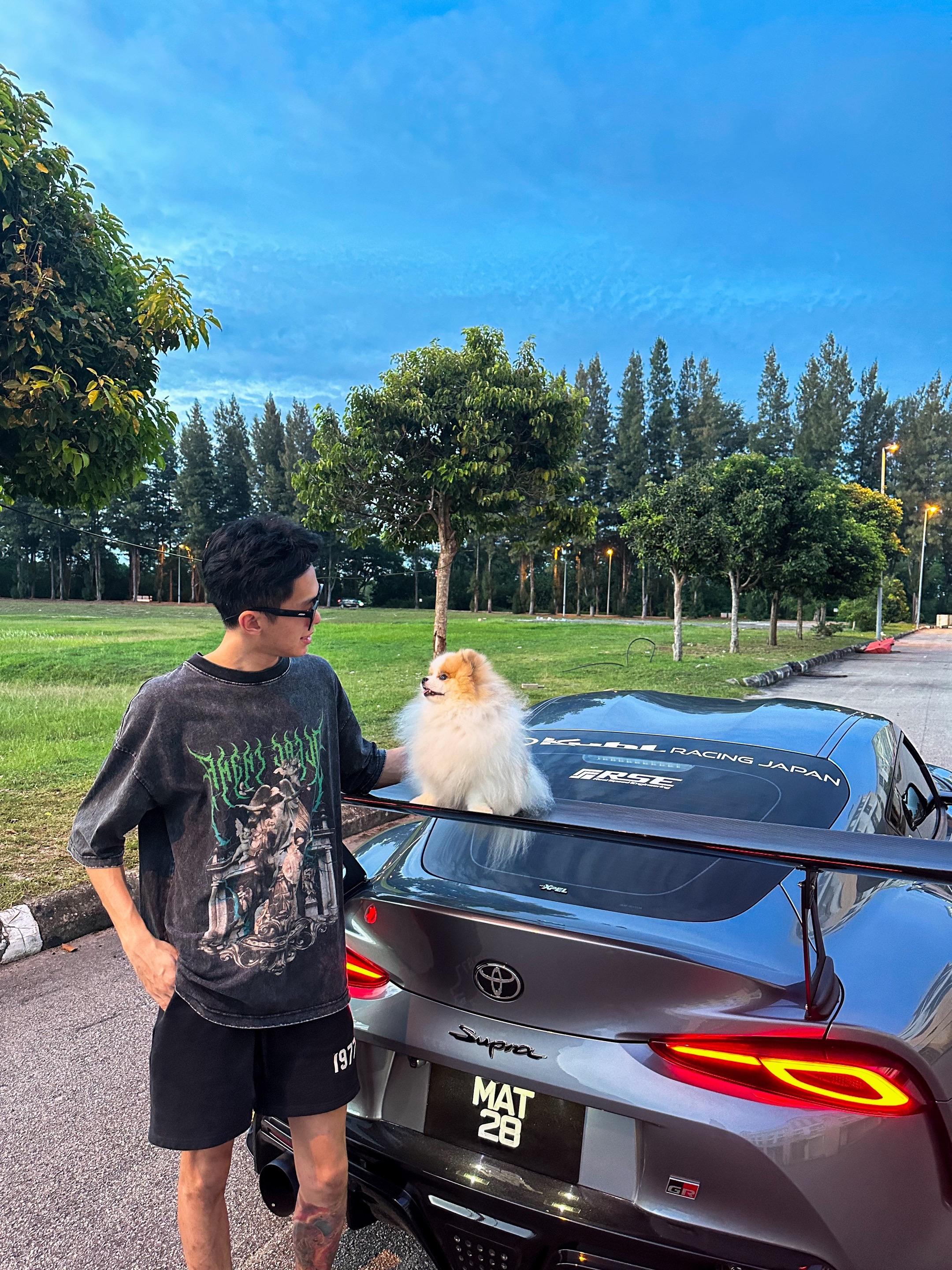 我家的小保安