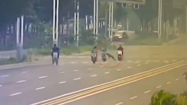 灭狗毁证！为避追责将自家“作案”狗打死
2025年7月20日早晨，河北邯郸的张女