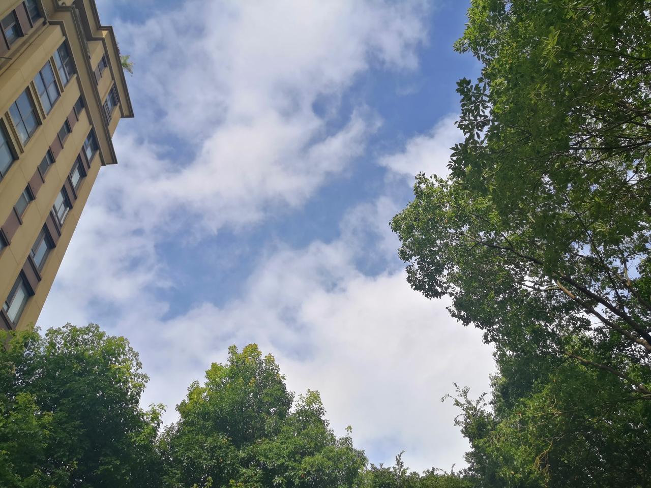 台风巴威要来了，看上海早晨的天气是这样的:天空的云朵是瞬息万变，大团的云雾快速的