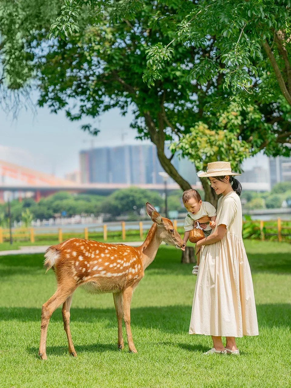 小友遛遛图鉴🍃一起去大自然里追风逐鹿🦌