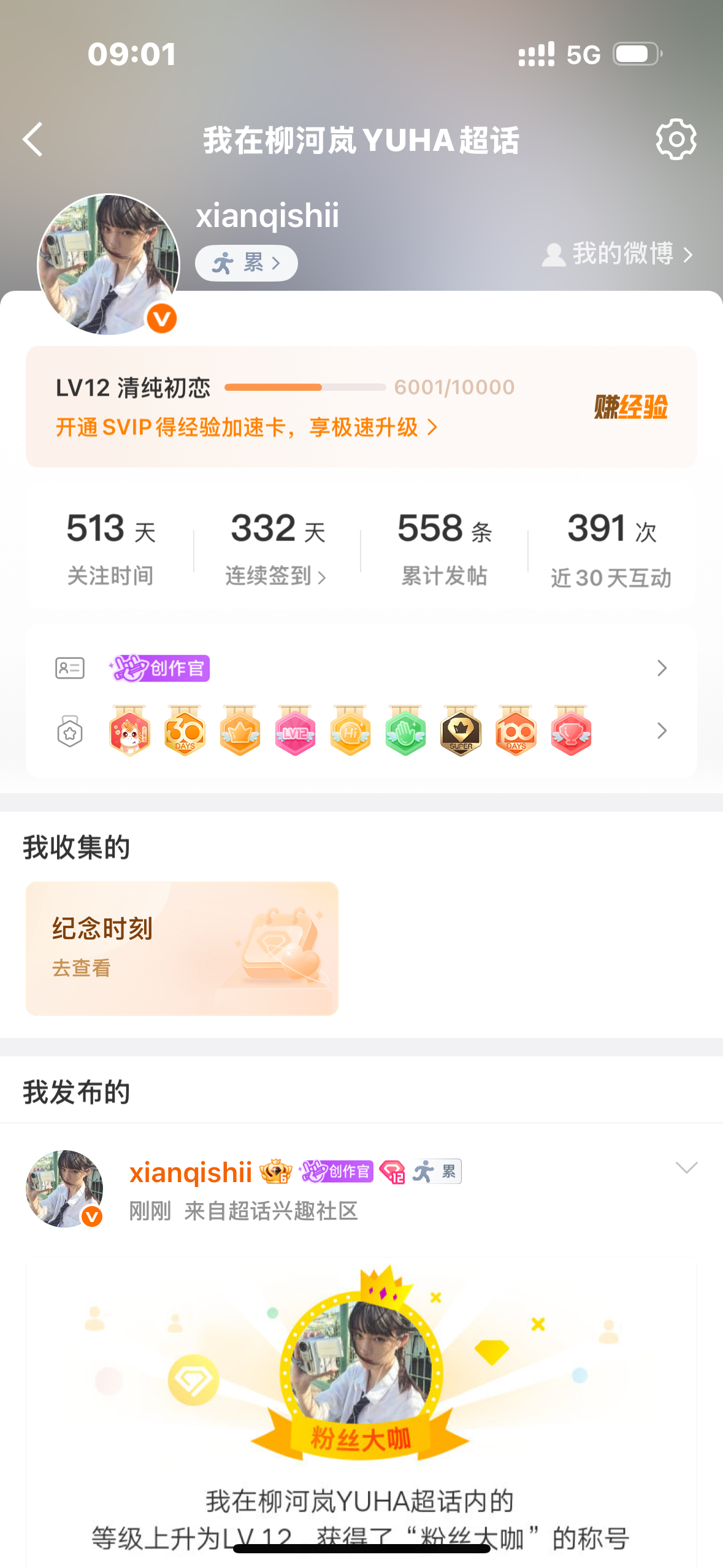 猪猪们这是什么？ 