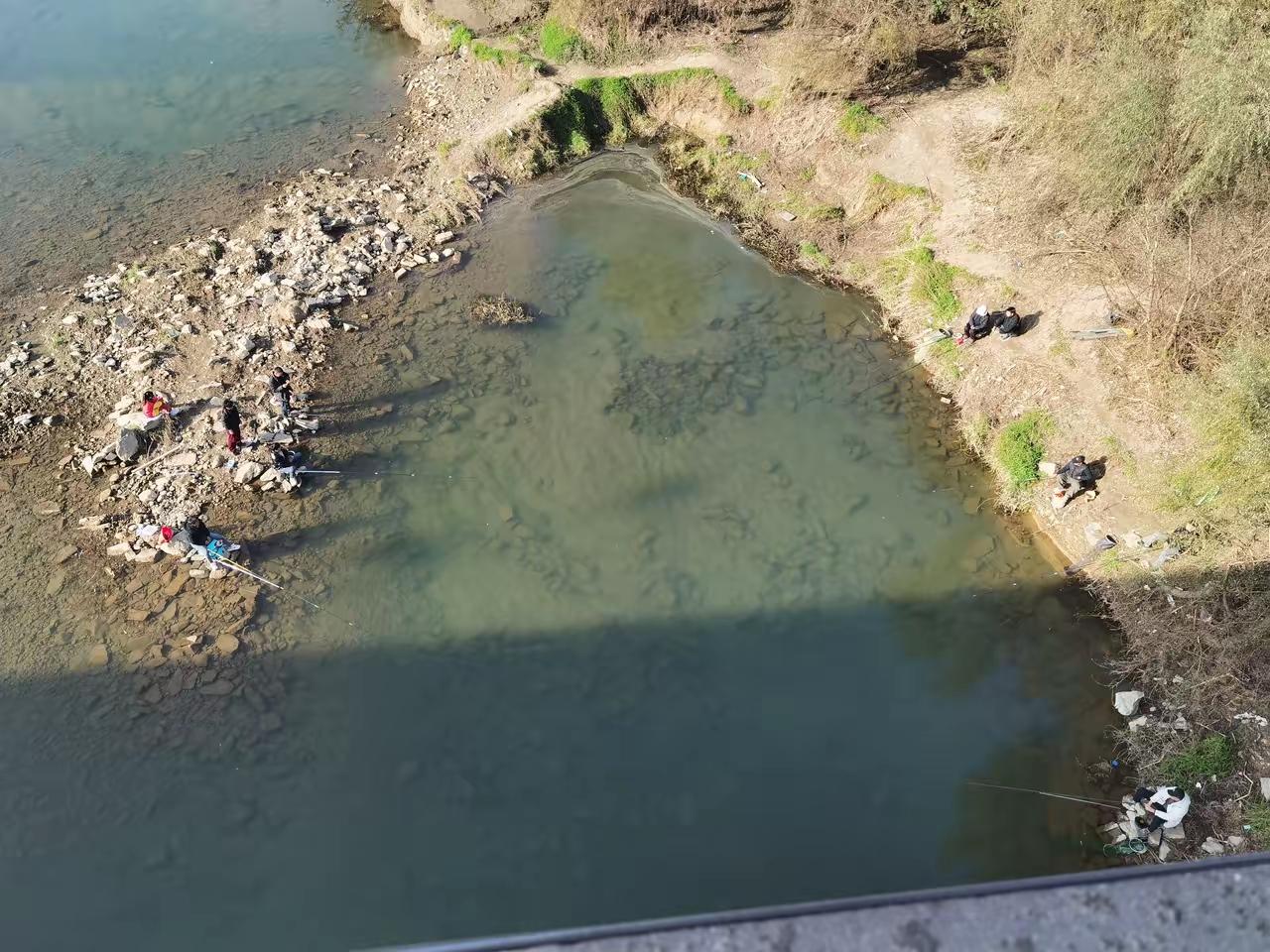 据说这种情况只有钓鱼佬才看懂！谁能告诉我，他们这是在钓什么？[what]