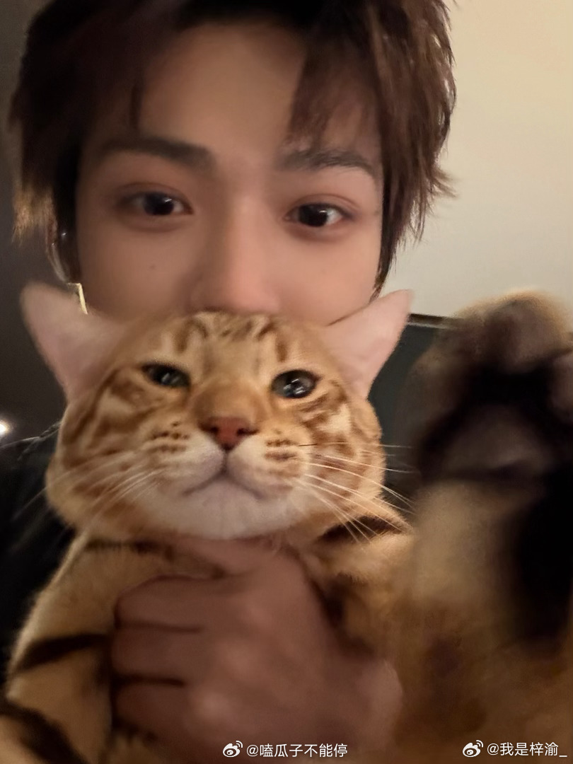 梓渝和小猫的合照特别萌，图中有两只小猫