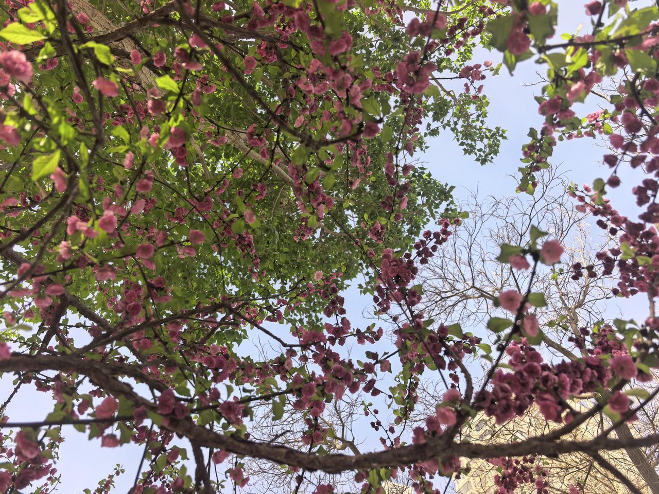 一个70后，天天喝凉水，冬天也必须喝凉水，都快绝经了还不知道啥叫痛经，夏天冰糕一