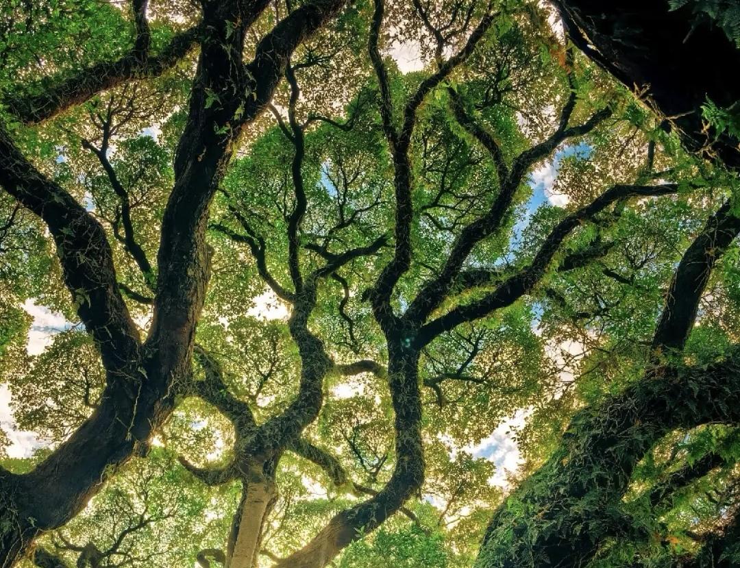 【永远不要在熟人面前讲下列话题：炫耀；好为人师；收入与隐私；伤人的笑话；家庭矛盾