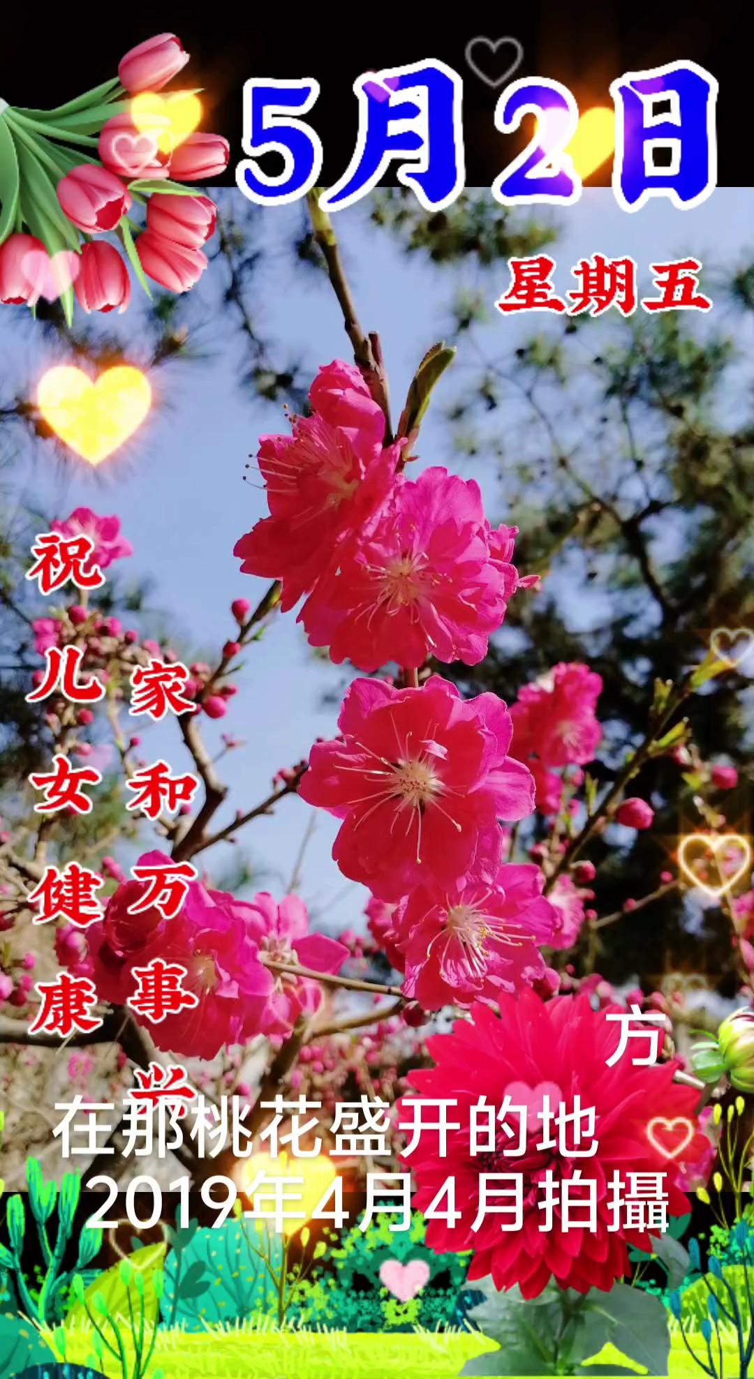 往年精彩攝影作品回顾丨2019年4月4日