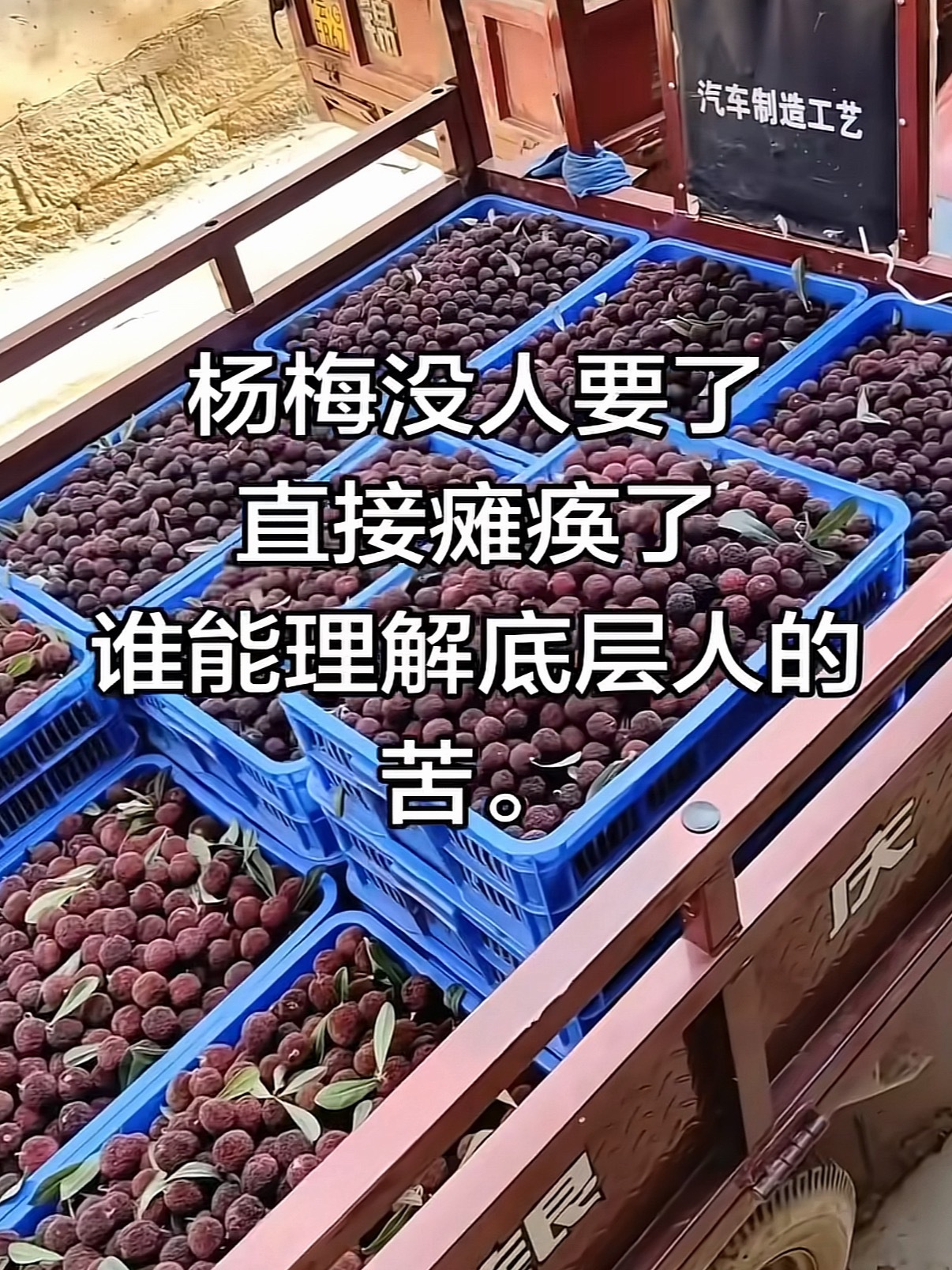 杨梅泡药事件冲击浙江杨梅市场泡药的时候我一声不吭，滞销的时候我们都在用力的活着雪
