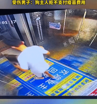 “以前咬过一个6岁的女童，没这么贵！”山东男子坐电梯准备回家，突然从外面冲进来一