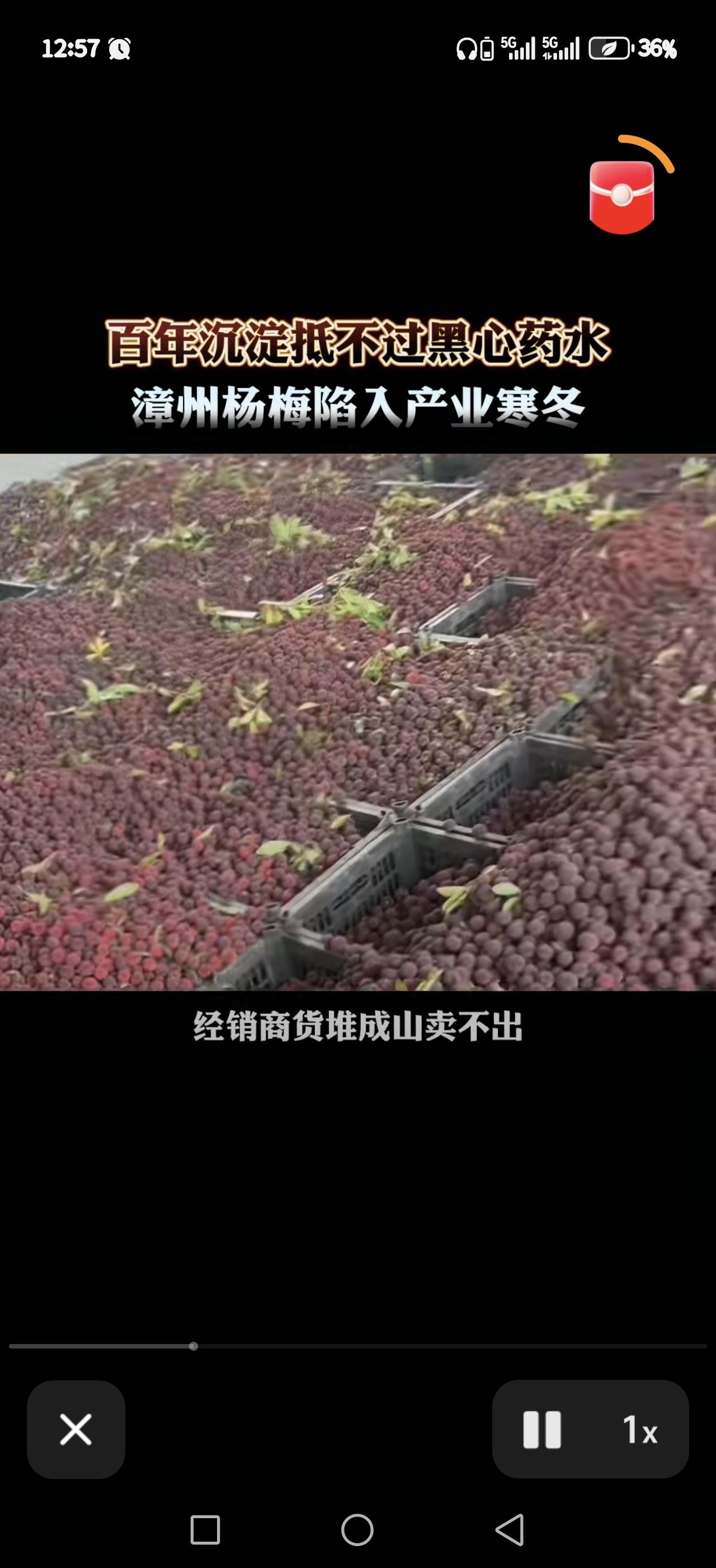 想要中国吃到健康食物，需要一百年以后，所有人都换一遍才可以——

这话真的说到骨
