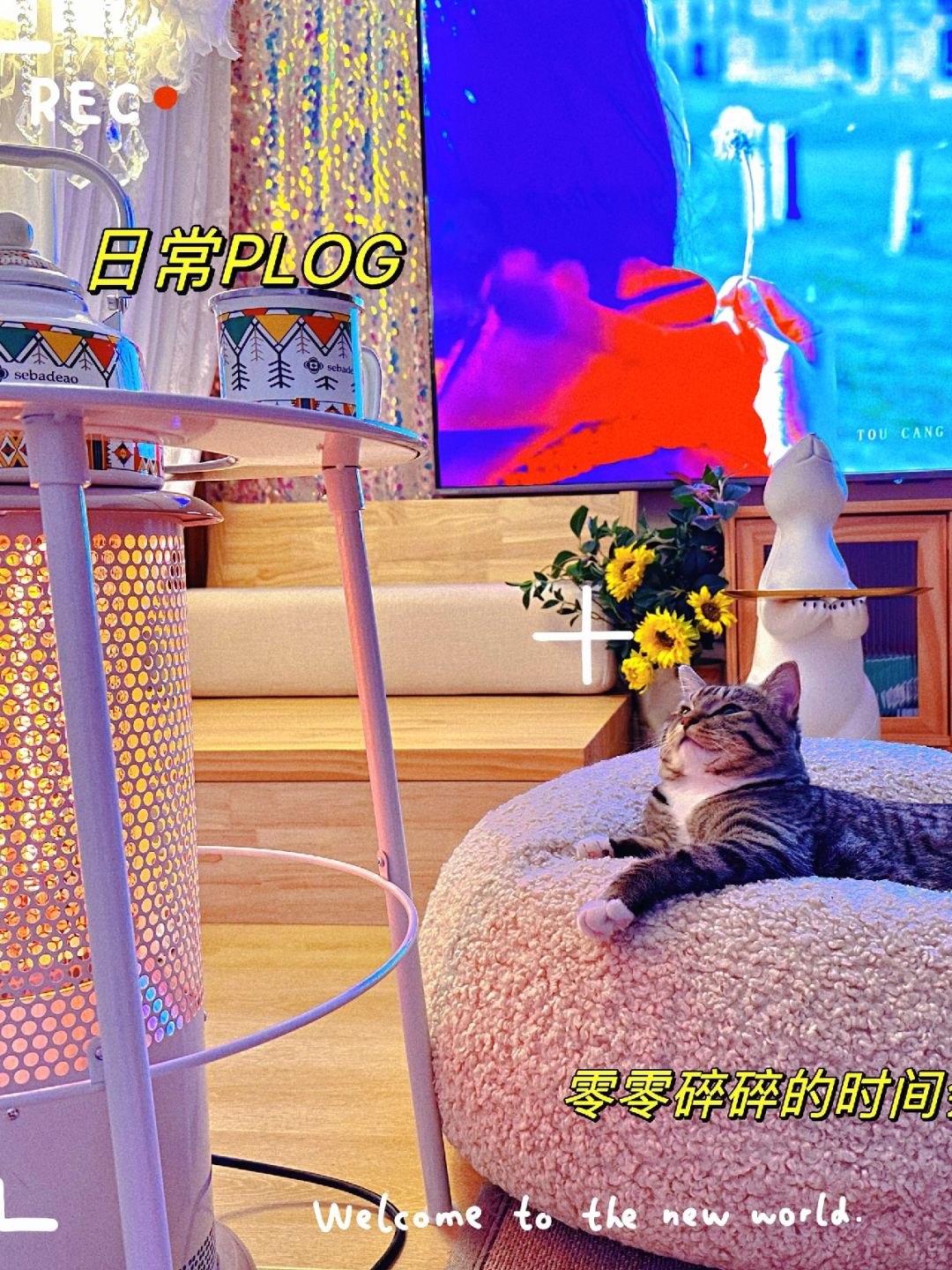 27岁带猫独居女孩的日常｜干净明亮的家