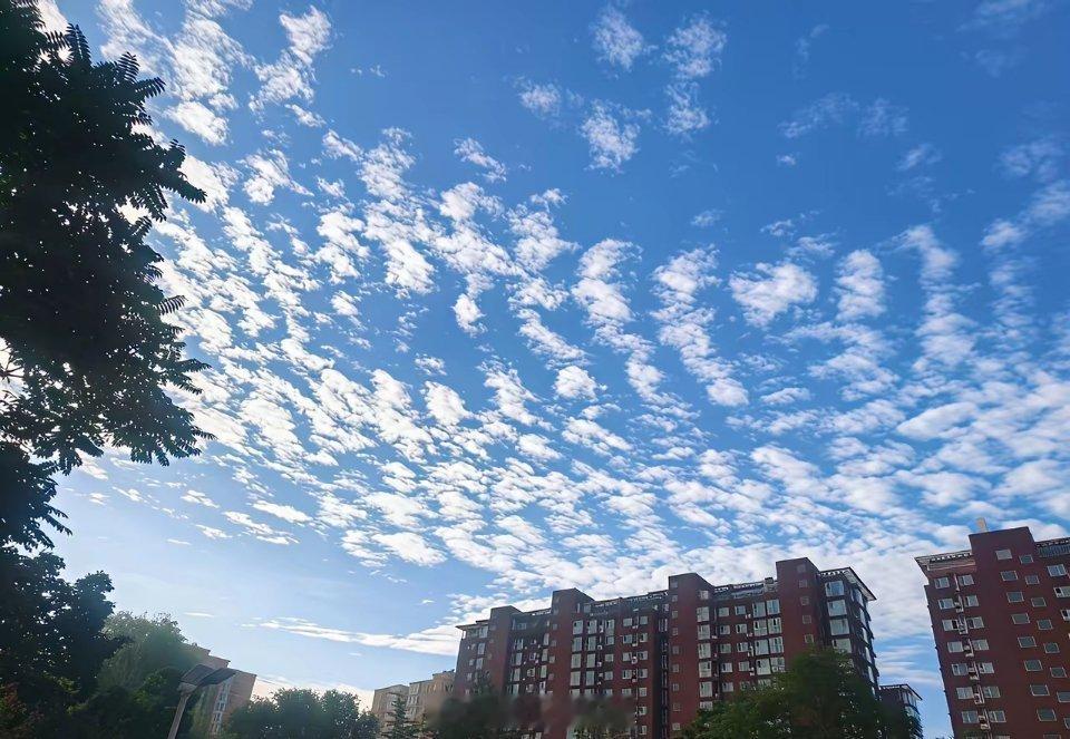 a股周一必有反弹，周五是交割日，空头砸盘过猛！周一反弹无疑！七月的低点，大概率，